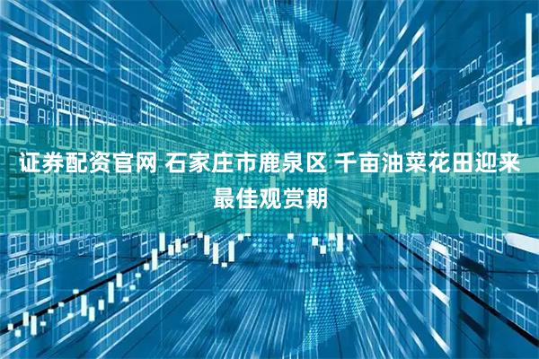 证券配资官网 石家庄市鹿泉区 千亩油菜花田迎来最佳观赏期